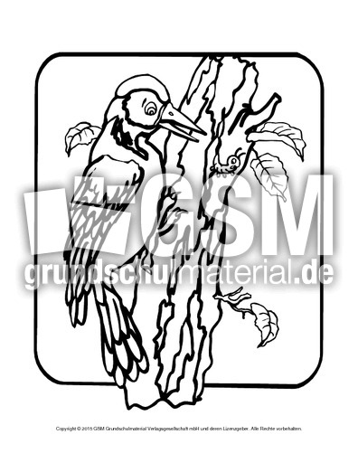 Ausmalbild-Specht-2.pdf
